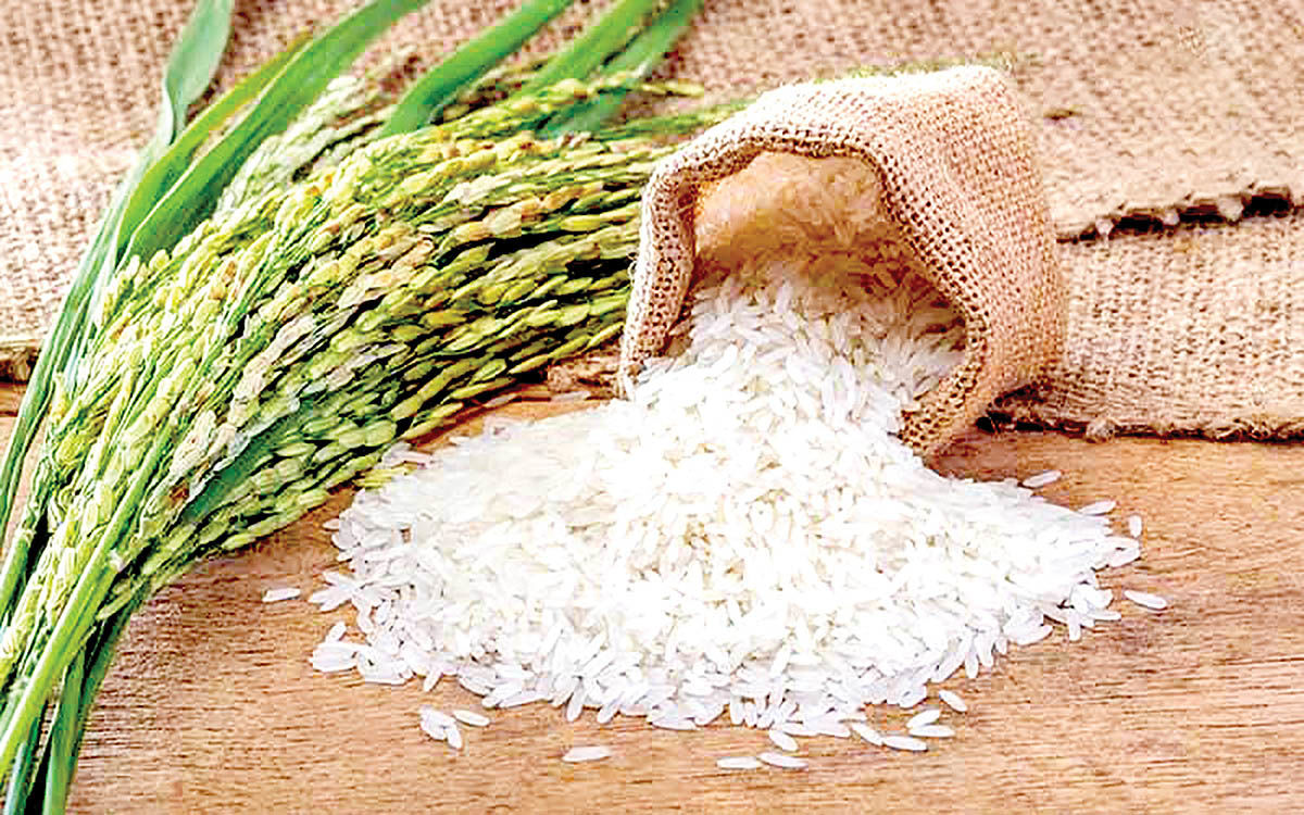 برنج ایرانی همچنان در صدر مصرف