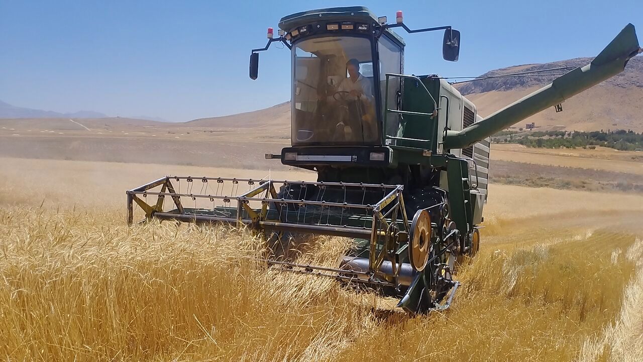 خرید گندم در لرستان از مرز 200 هزار تن عبور کرد