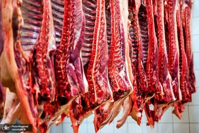 قیمت هر کیلو گوشت قرمز کنیایی چقدر است؟