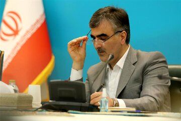 فرزین: مردم نباید برای دریافت تسهیلات خرد از بانک‌ها با سختی مواجه شوند