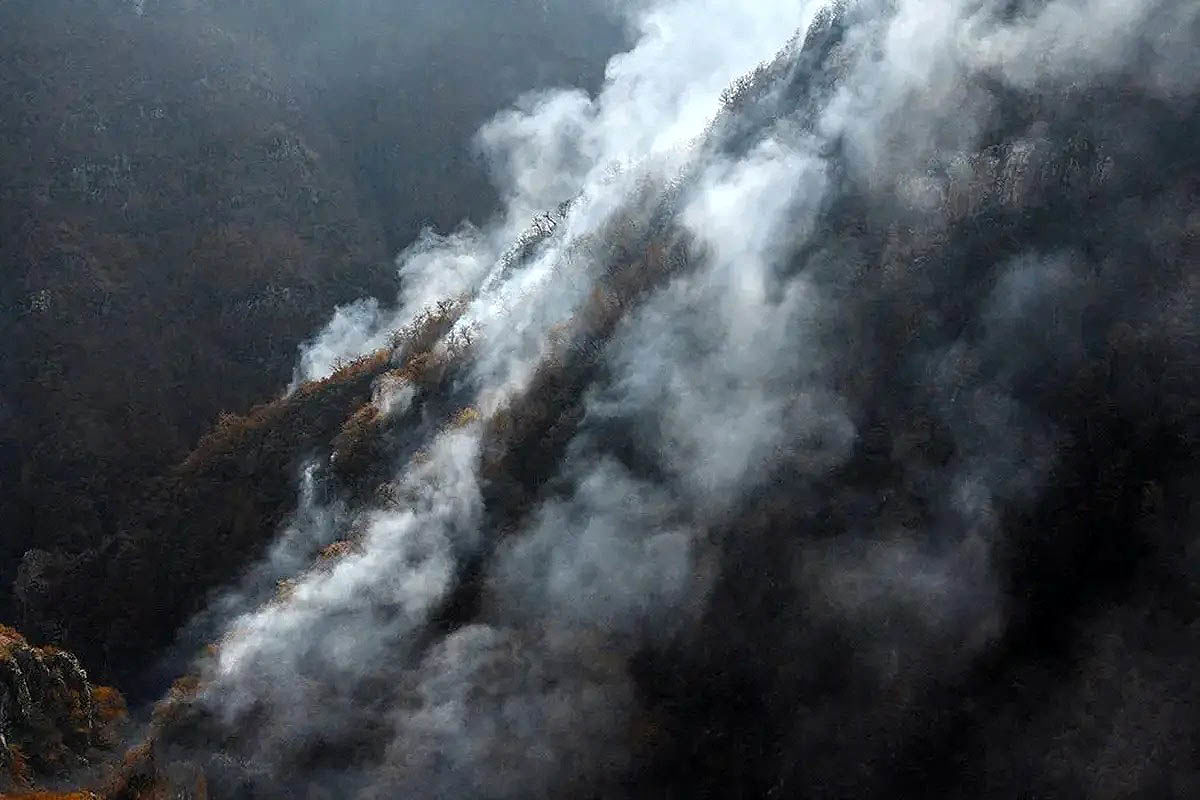 الیت  در آتش