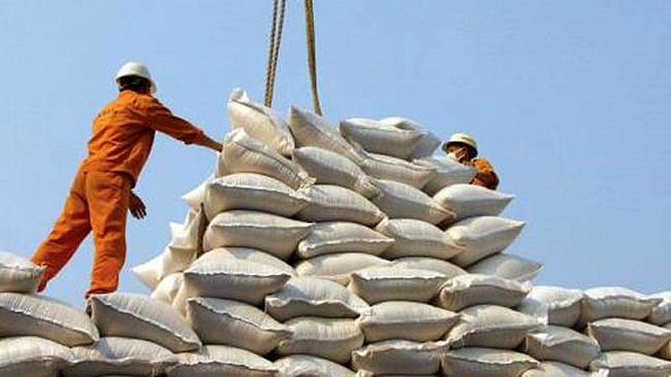 برنج ارزان میشود؟