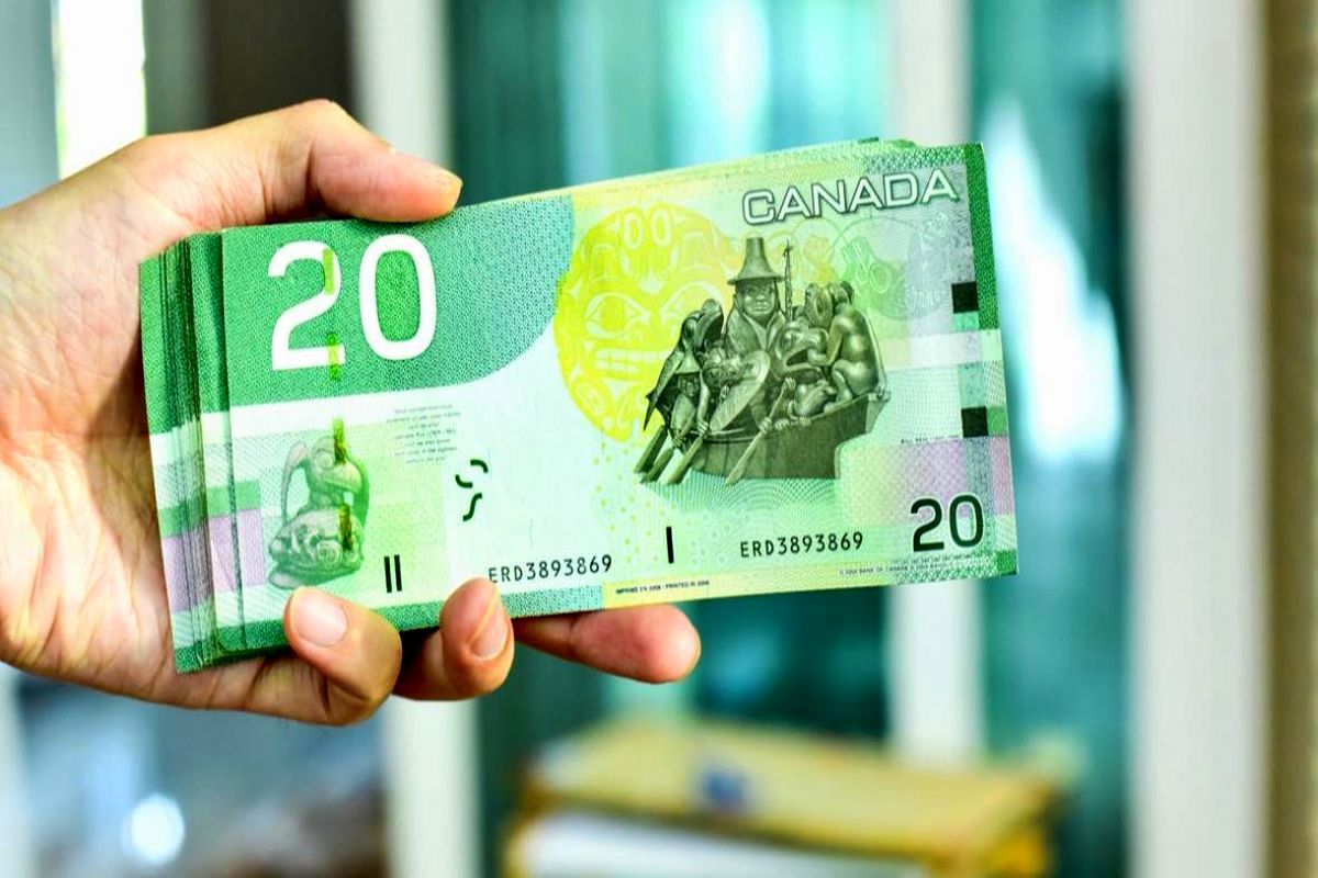 قیمت دلار کانادا امروز شنبه ۹ دی ۱۴۰۲| افزایش قیمت
