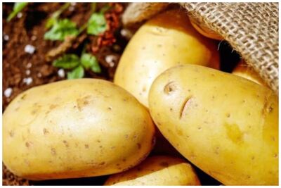هشدار برای دیابتی‌ها/درمورد مصرف سیب زمینی مراقب باشید