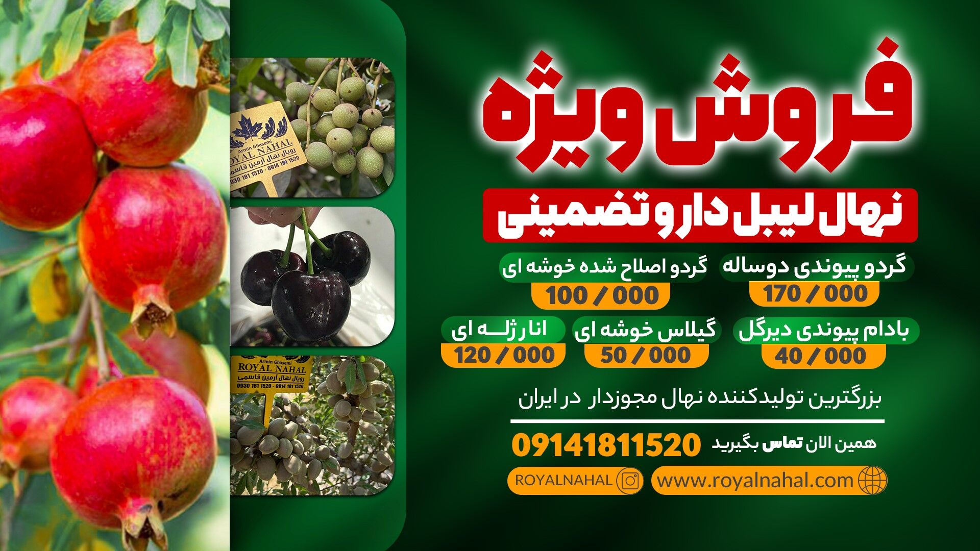 فروش ویژه نهال لیبل دار و تضمینی
