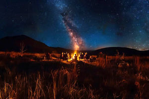 صفر تا صد تورهای یلدایی