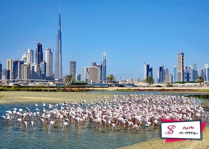 ارزان ترین تورهای 99 را در سلام پرواز رزرو کنید