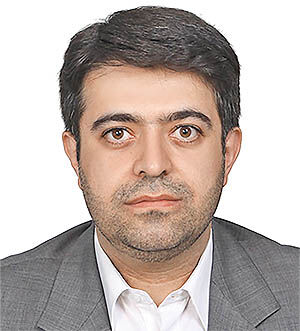 استقرار دولت مجازی 
