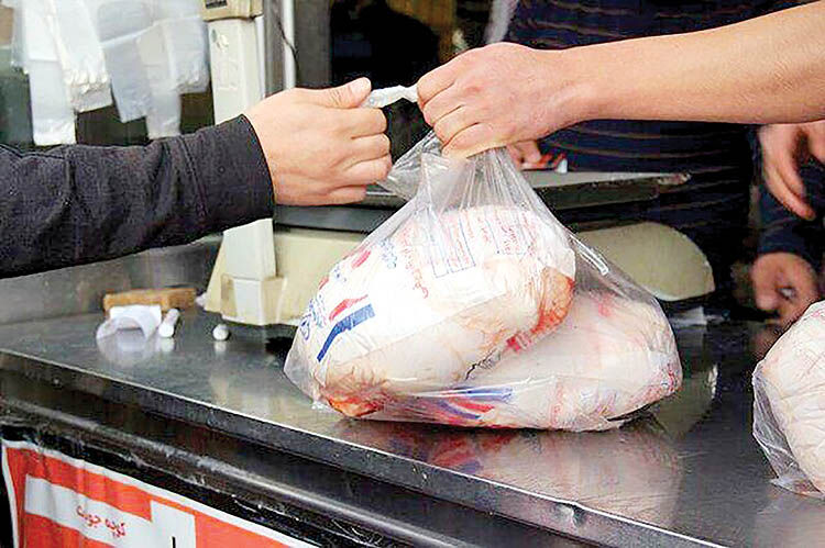 چرا مرغ در مسیر صعود قیمت قرار گرفت؟