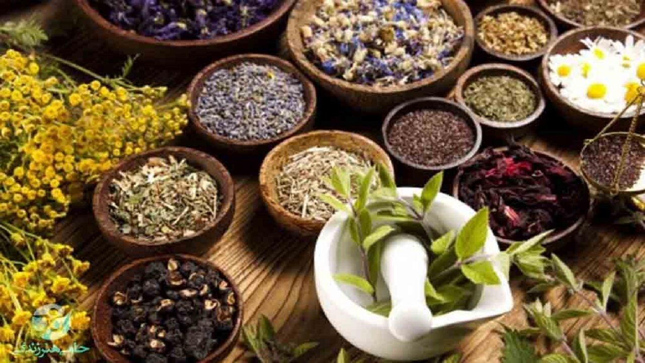  قاچاقچی داروی گیاهی نقره داغ شد 