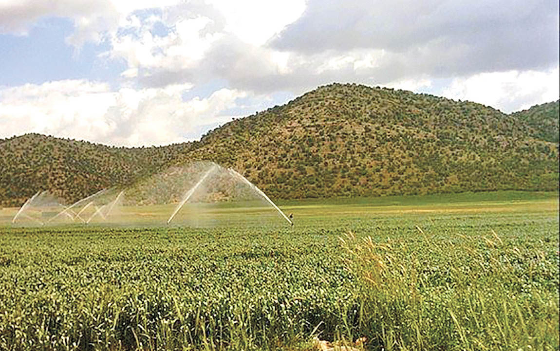 زمین جدید کشاورزی در آذربایجان