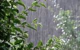 صدور هشدار برای تهران/ باران، رعدوبرق و باد شدید در راه است