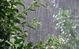 صدور هشدار برای تهران/ باران، رعدوبرق و باد شدید در راه است