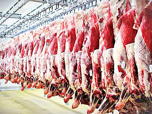 چشم انداز تحولات بازار گوشت قرمز