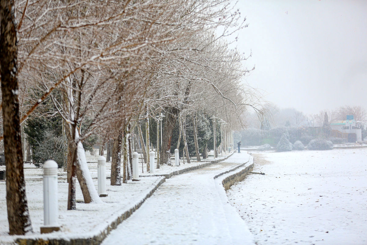 تهران هم از برف سفیدپوش شد+عکس