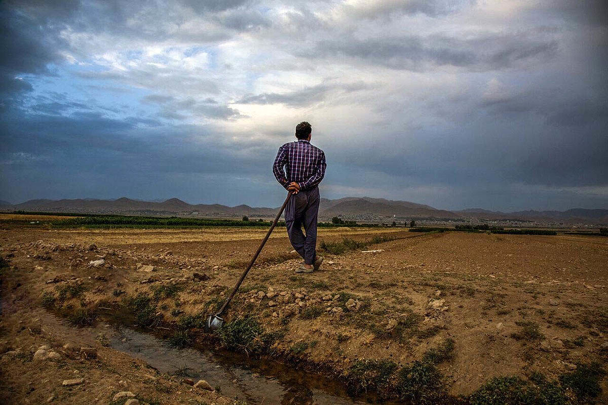تهدید امنیت غذایی با هدررفت آب