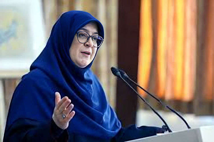 مهاجرانی: پروازها به تدریج از سرگرفته می‌شود