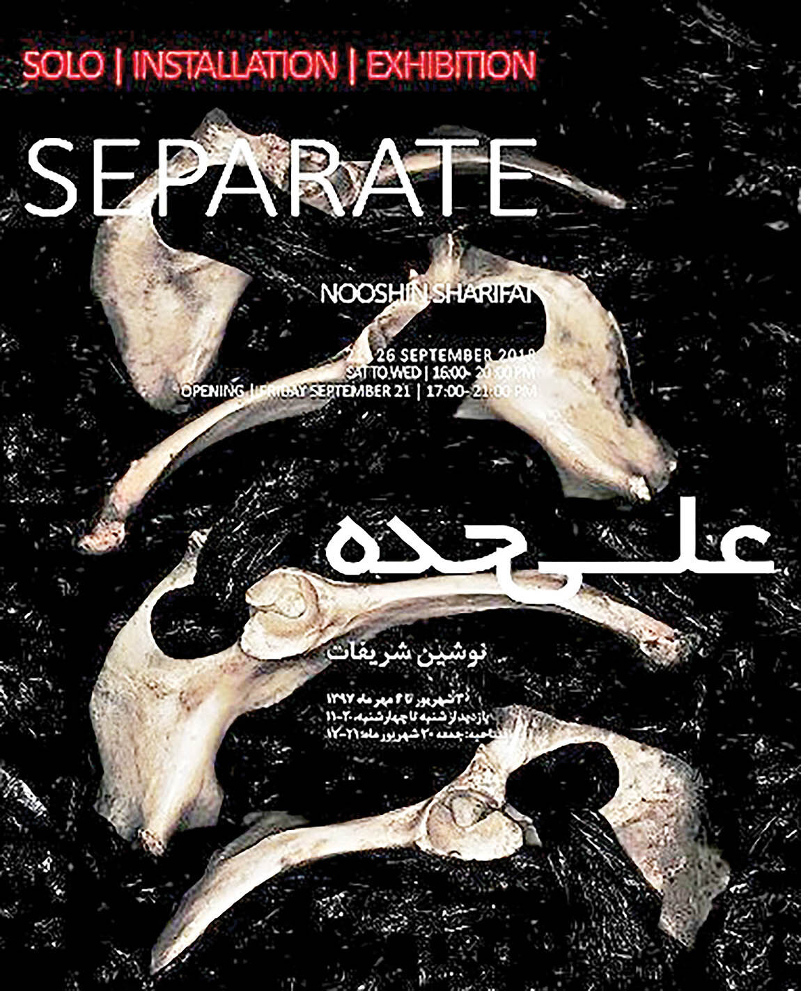 هشدار محیط‌‌زیستی در یک نمایشگاه هنری