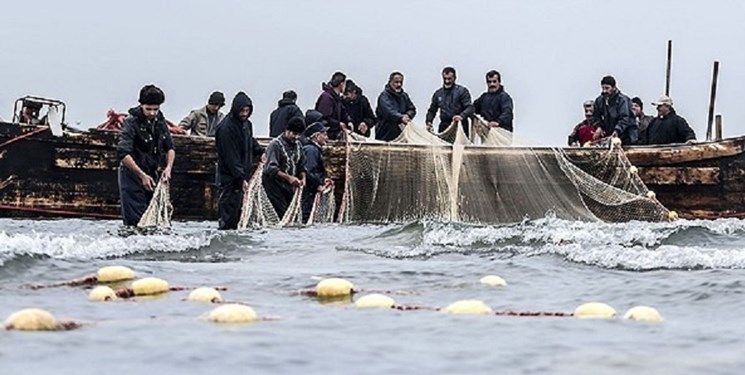 صدور 8 هزار مجوز برای صیادان هرمزگانی