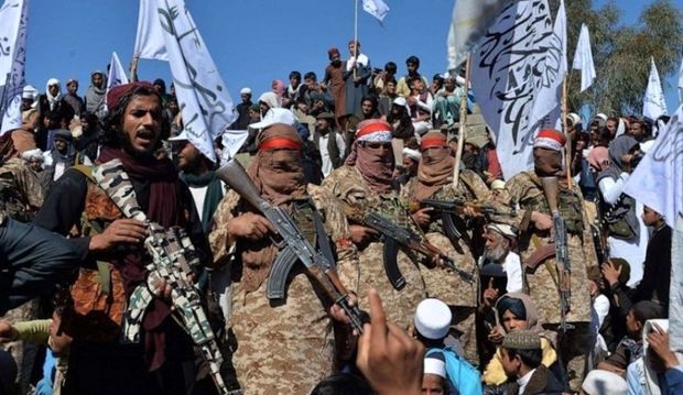واکنش تند پژوهشگر مسائل افغانستان: طالبان شیعه کشی می کنند 