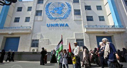آمار کشته‌شدگان کارمندان سازمان ملل در حملات اسرائیل به غزه