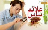 علائم ساس در منزل چیست؟ + بهترین سم ساس (طبق تجربه خریداران)