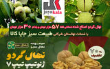 خرید و پیش خرید نهال گردوی اصلاح شده ضمانتی فقط با 5۷ هزار 