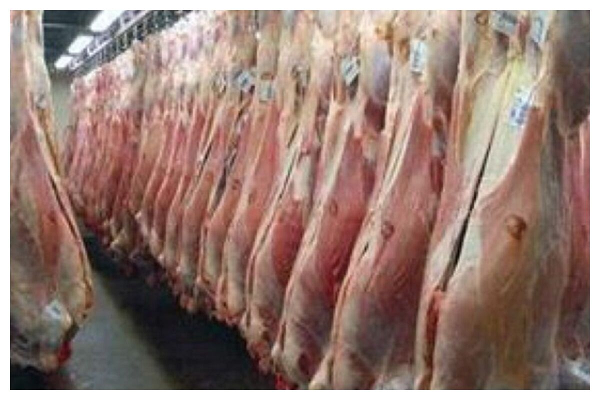 آخرین وضعیت عرضه گوشت در بازار+ جزئیات