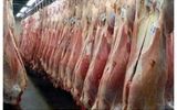 علت اصلی گران شدن قیمت گوشت/ شکاف قیمت ۷۰۰ هزار تومانی بین دامداری و بازار
