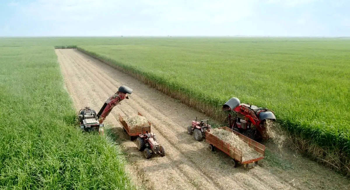  «توسعه نیشکر» با 9دستگاه‌  هاروستر جدید