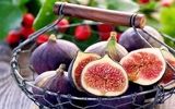 فواید باورنکردنی انجیر را بدانید