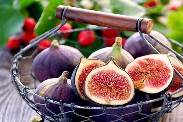 فواید باورنکردنی انجیر را بدانید