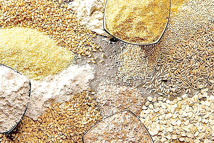 واردات نخستین محموله کنجاله سویا از بنادر شمالی