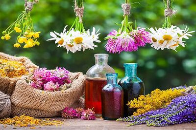 خواص جادویی بابونه برای درمان سرماخوردگی
