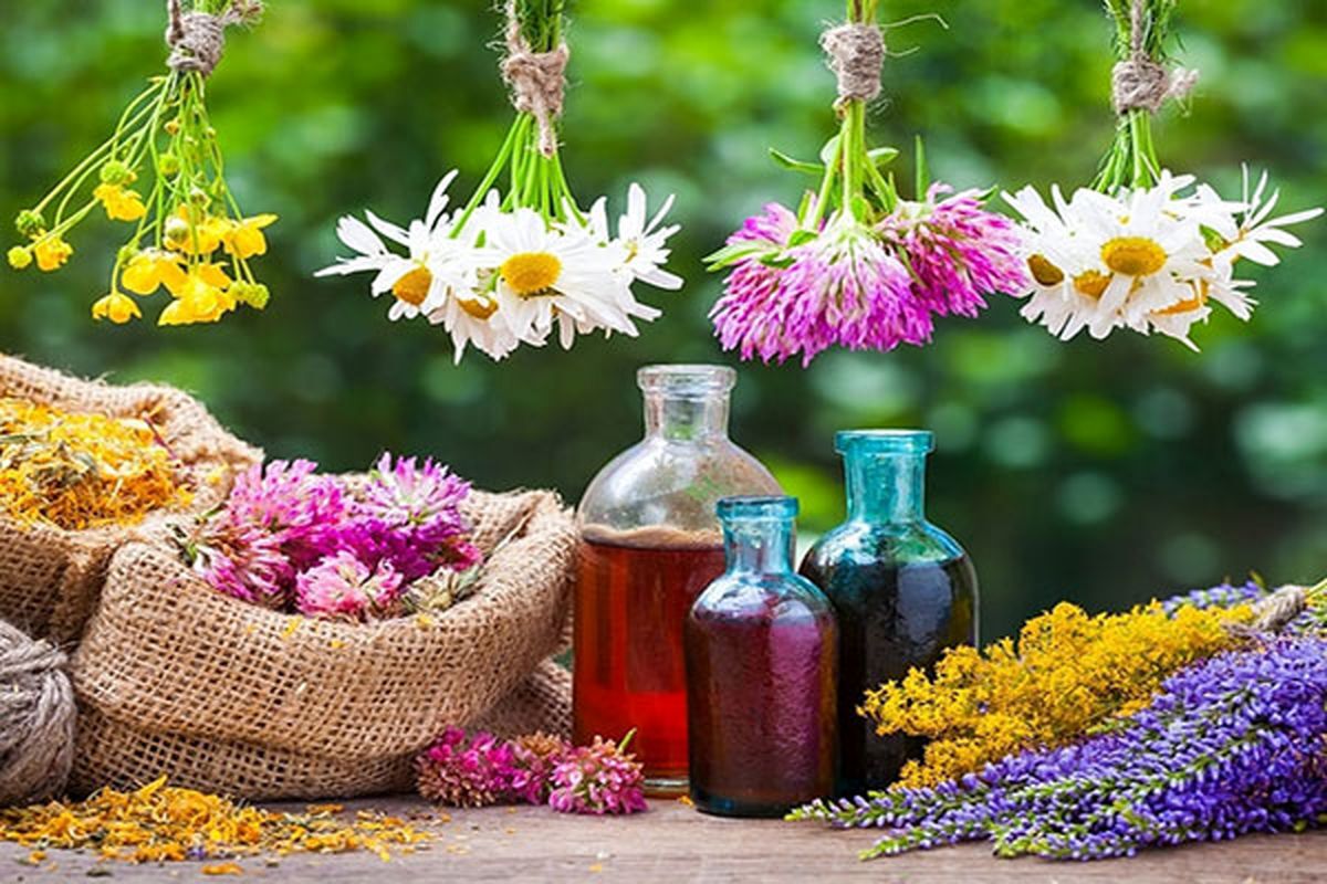10 گیاه مفید برای مقابله با بی‌خوابی