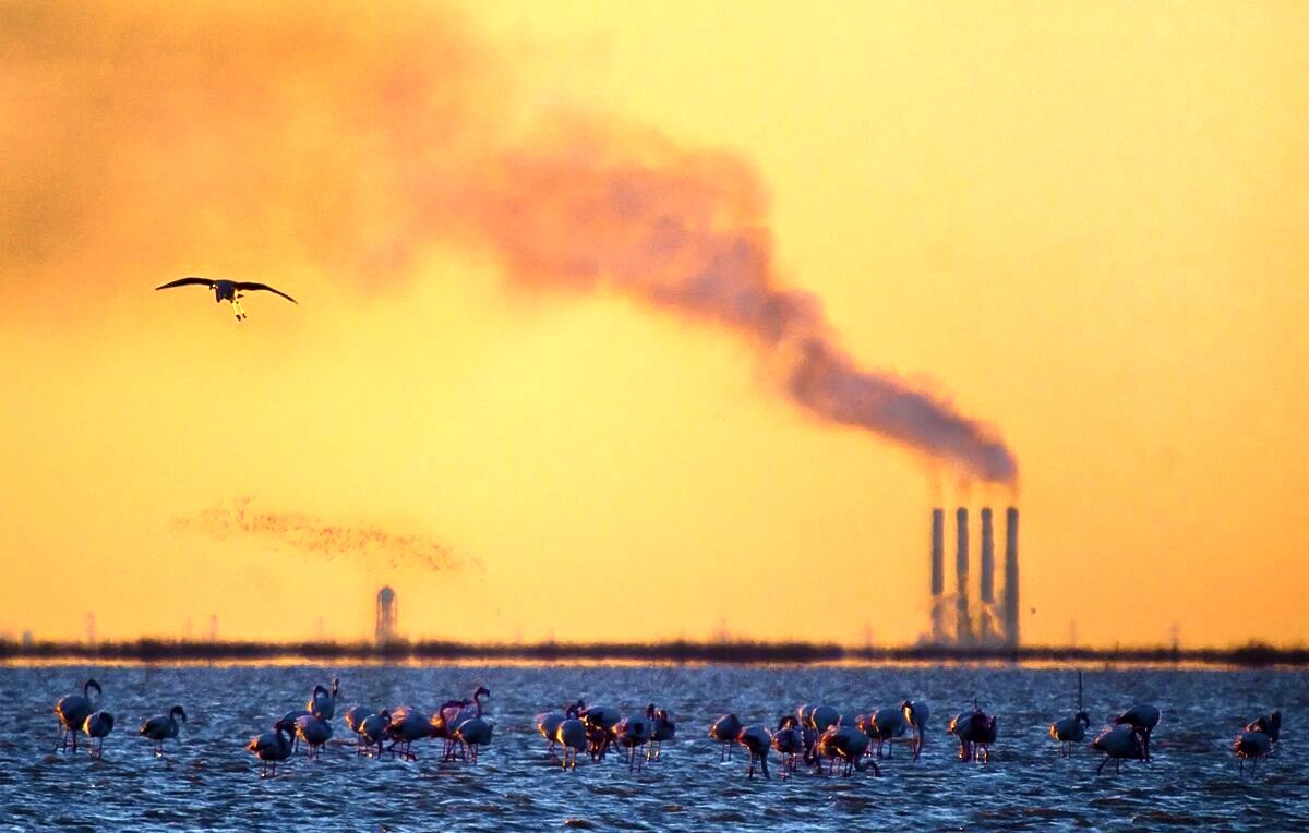 آلودگی به شهر‌های شمالی رسید؛ از چالوس گرفته تا رشت/ علت چیست؟