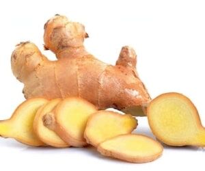 گیاه ضد سرطانی که خاصیت آنتی بیوتیک دارد