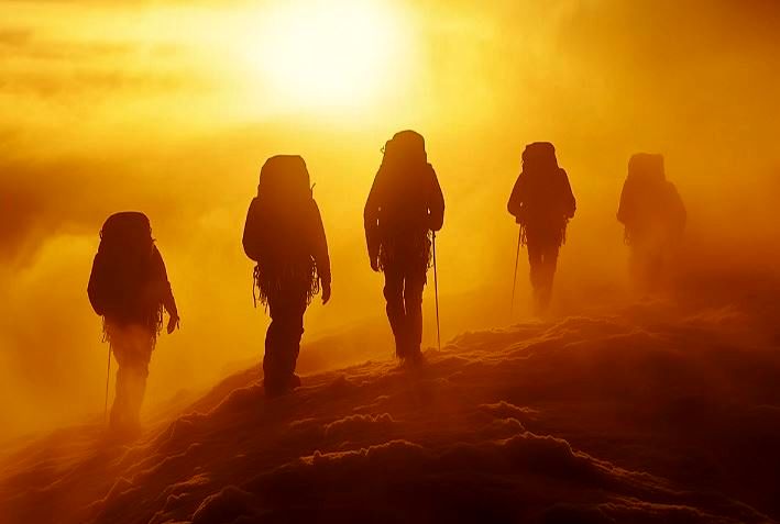 راه راستین سرمایه‌گذاری؛ داستانی از سبدگردان آبنوس