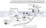 دانش «رشد» نوبل گرفت