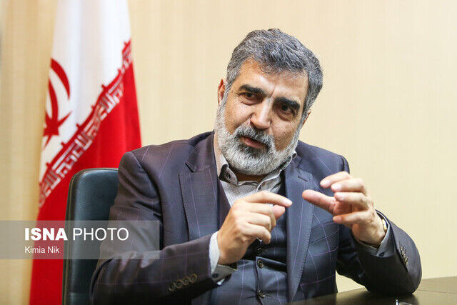 کمالوندی: آژانس نمی تواند هر روز راستی آزمایی کند