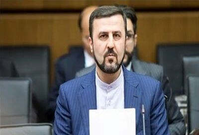 غریب آبادی از آزادی شهروند ایرانی زندانی در هلند خبر داد