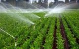 جهش پایدارکشاورزی هرمزگان