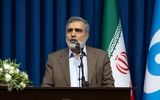 واکنش ایران به ادعاهای آمریکا درباره تعداد نفتکش‌های عبوری از تنگه هرمز/ کمالوندی: ایران گزینه‌های زیادی برای دفاع از خود دارد