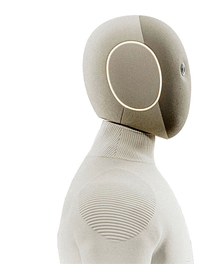 رخنه روبات‌های انسان‌نما به زندگی