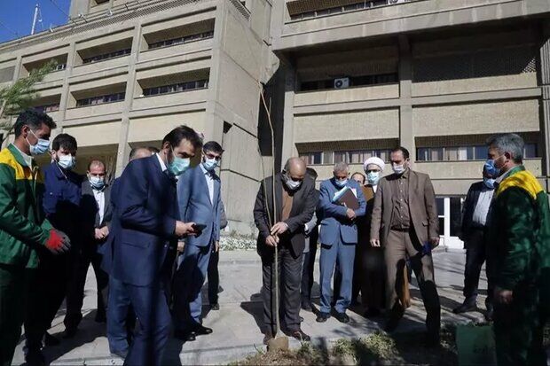 وزیر کشور یک نهال زیتون غرس کرد
