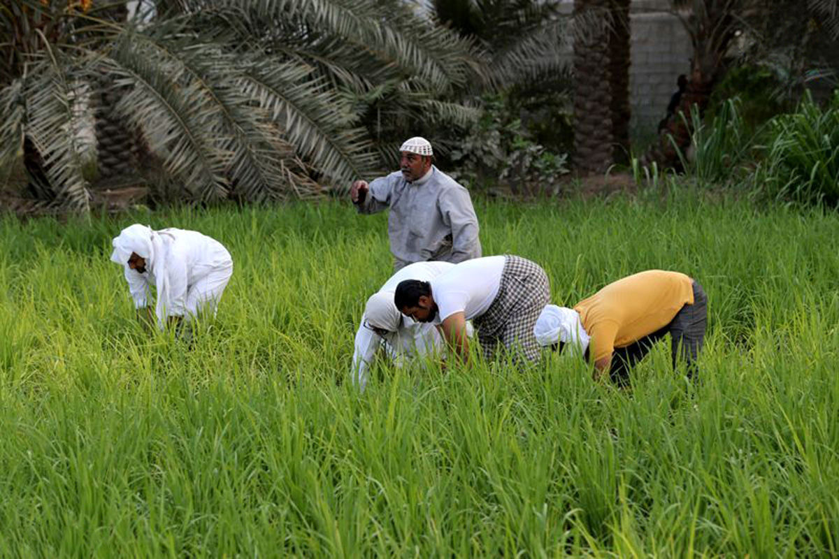 سیلی واقعیت‌های اقلیمی