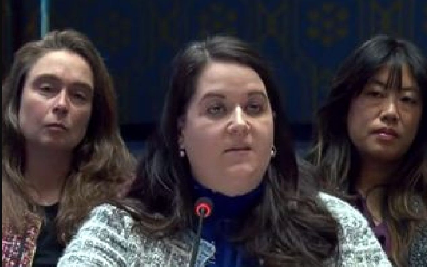 اظهارات جنجالی نماینده آمریکا در شورای امنیت درباره غزه