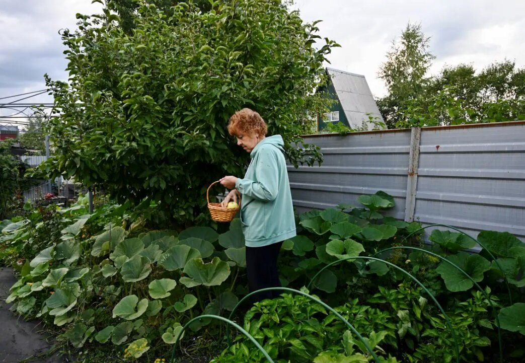 پیشنهاد جدید و جالب دانشمندان برای پیشگیری از آلزایمر