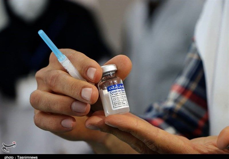 آمار تولید و تزریق واکسن برکت اعلام شد