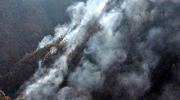 هیزم نامرئی در پرونده «الیت»